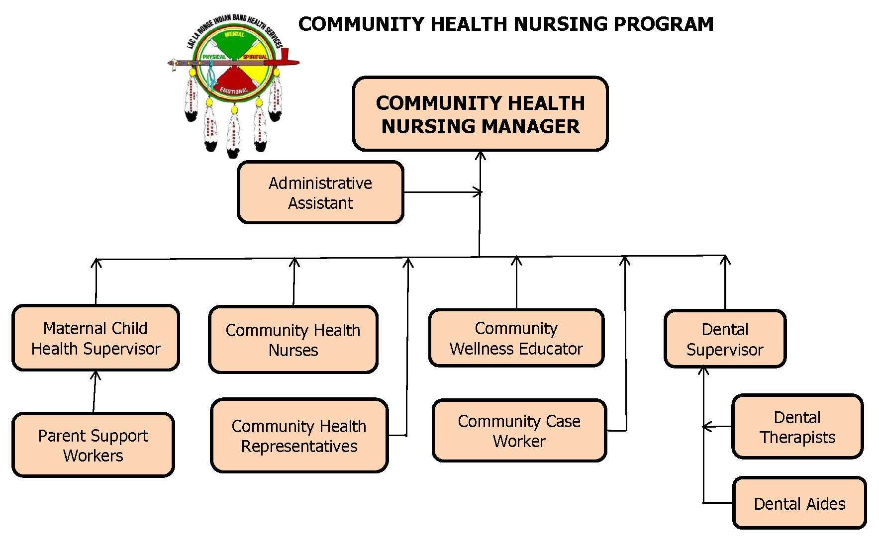 Community Health Nursing Org Chart